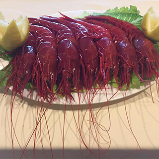 Carabineros